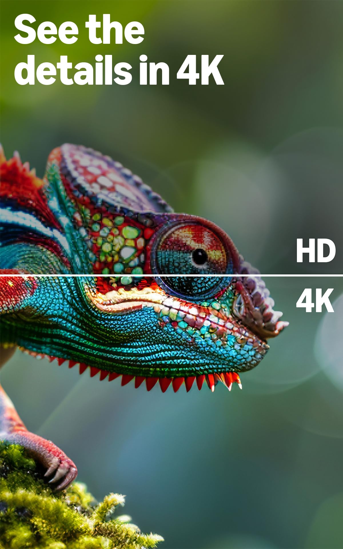 Amazon Ember 43" 4-Series Fire TV 4K Ultra HD Smart TV
